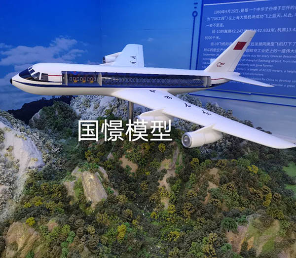 崇仁县飞机模型