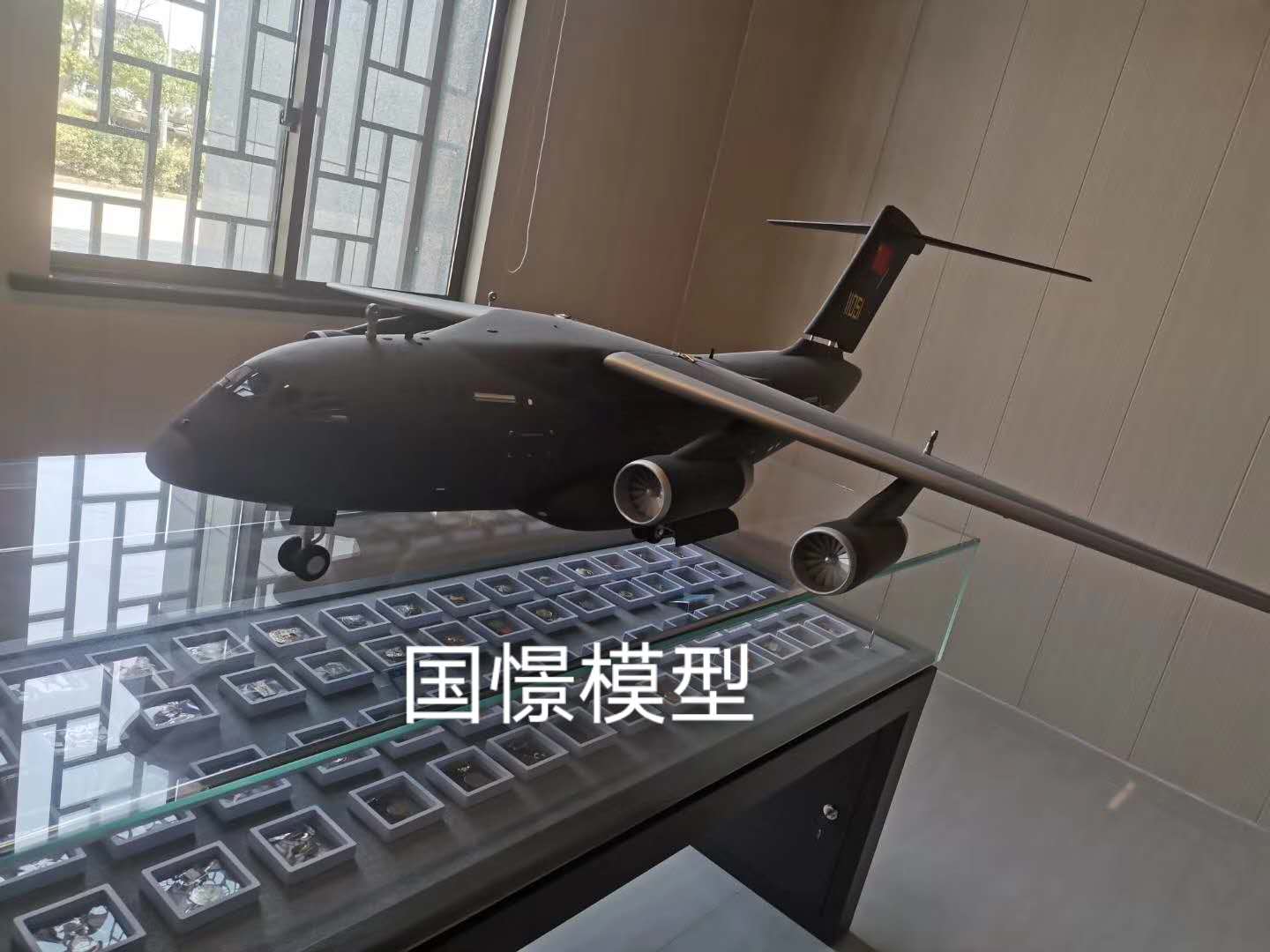 崇仁县飞机模型